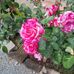 Roy Upton G - Facebook