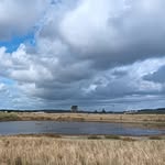 Roy Van Niekerk - @van_niekerk_roy - Instagram