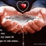 Roy Vidal Mamani - @roy_vidal_mamani - Instagram