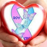 Roy Wallis - @roy.wallis.146 - Instagram