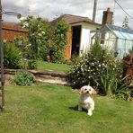 Roy Walmsley - Facebook