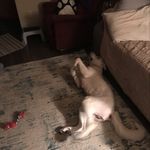 Roy Washburn - @roywashburn - Instagram