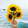 troywashburn - @bwashburn12 - TikTok