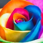 Roy Waters - @roy.waters.982 - Instagram