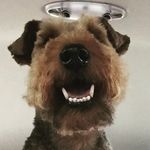 Roy Watson - @roydollyfloradenisnobby - Instagram