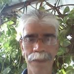 Roy Watts - @roystonwatts - Instagram