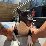 @roywatts - Instagram