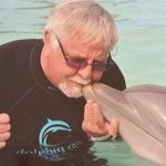 roy wayne - @roy.wayne - Instagram