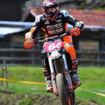 Roy Shine Weidmann - @roy_weidmann - Instagram