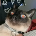 Roy  Westphal - @roywest14 - Instagram