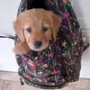 Roy White - @roy.white80 - TikTok