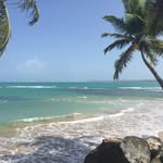ROY WHITEHURST - @roywhitehurst2 - Instagram