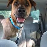 Roy Wiley - @roy.wiley.397 - Instagram