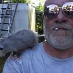 Roy Wills - @roywills1970 - Instagram