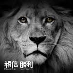 Roy Chen - @roywolf - Instagram