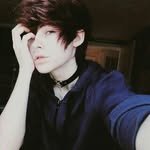 roy_wolf - @roylandkk - Instagram