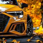 Zeno_4759 - @roywolf4759 - Instagram