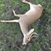 Roy Woodson - Facebook