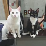 @roy.woody - Instagram