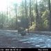 Roy Wooten - Facebook