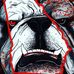 Roy Wooten - Facebook
