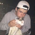 @roy.wyss - Instagram