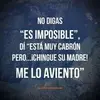 Roy Yañez - @royer891 - TikTok