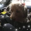 Jeannine Roy Zimmer - @jeannineroyzimmer - TikTok