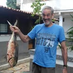 Roy Zimmerman - @roy_zimmerman - Instagram