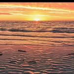royaarasteh - @royaarasteh64 - Instagram