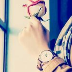 roya fallah - @royafallah4379 - Instagram