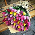 Roya Hashemi - @roya.hashemi.33671 - Instagram