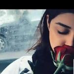 Roya Hashimi - @fernseherploriod - Instagram