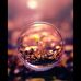 Roya Hashimi - Facebook