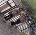 Roya Rahmani - Facebook