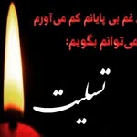 roya rahmani - @rahmani768 - Instagram