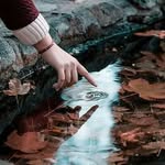 roya sobhani - @roya___sobhani - Instagram