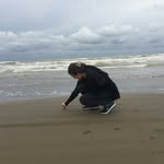 roya sobhani - @sobhaniroya - Instagram