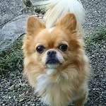 Royal Goodman - @royalgoodman58 - Instagram