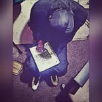 Royalhiness - @royalhiness - Instagram