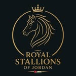 Royal Stallions of Jordan - @jordanian_equestrians - Instagram