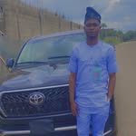 Nelson Ibidapo - @royalnelsonmotors - Instagram