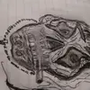 Scott Royal - @scott.royal6 - TikTok