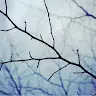 Royce Choi - @royce484 - TikTok