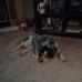 Royce Davis - Facebook