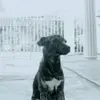 harrisroycehadley - @harrisroycehadley - TikTok