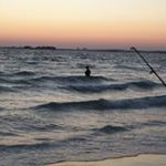 Andrew Royce Howard - @bobbyhill30378 - Instagram
