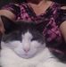 Royce Howard - Facebook
