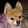 roycehunter210 - @roycehunter210 - TikTok