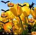 Royce Robertson - Facebook